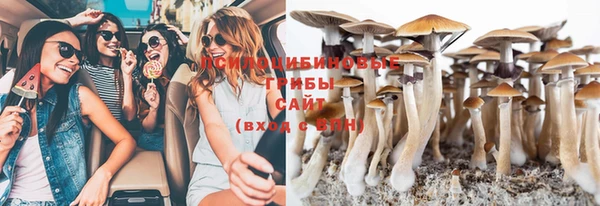 дмт Богородск