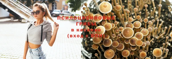 дурь Бугульма