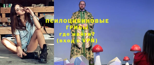 дмт Богородск